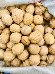 [000704] Kaghzi Akhroot